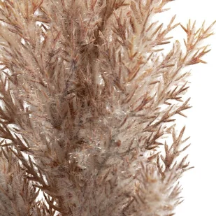 KWIAT NATU 304 DŁ.77 CM DŁ.TRAWA 35 CM KREMOWY - Sztuczne kwiaty - miniaturka - grafika 1