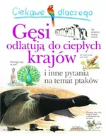 Baśnie, bajki, legendy - Olesiejuk Sp. z o.o. Andrew Charman Ciekawe dlaczego gęsi odlatują do ciepłych krajów - miniaturka - grafika 1