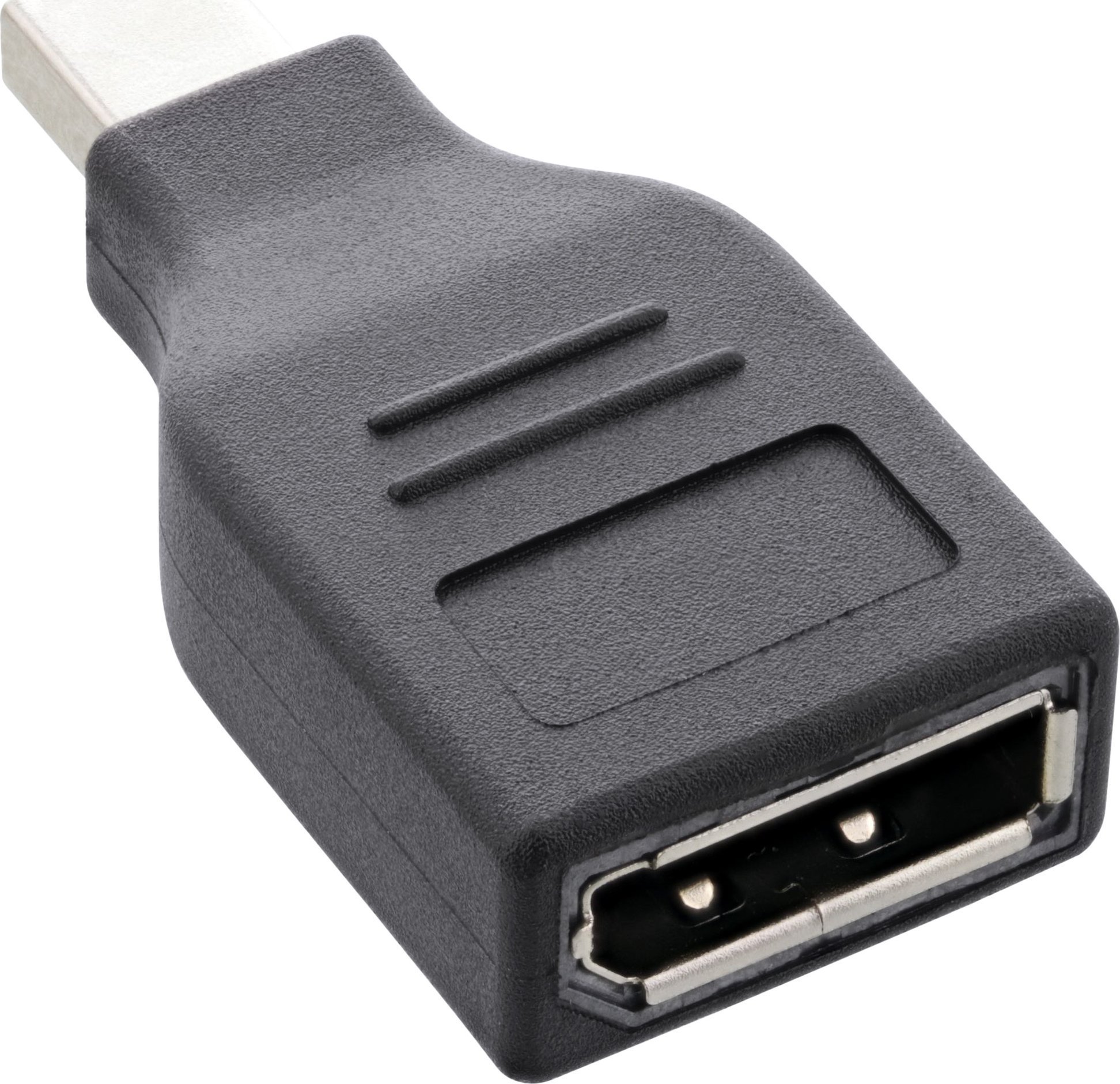InLine DisplayPort Mini - DisplayPort czarny 17196B