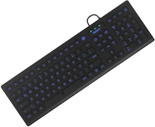 KeySonic KSK-8031INEL klawiatura USB QWERTZ Niemiecki Czarny 60529 - Klawiatury - miniaturka - grafika 1