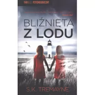 Powieści sensacyjne - Bliźnięta z lodu - miniaturka - grafika 1