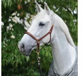 Kantary dla koni - Kavalkade Kantar skórzany CHARMING - miniaturka - grafika 1