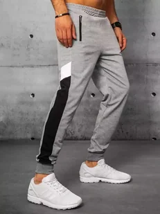 Spodnie męskie dresowe jasnoszare Dstreet UX3199-L - Spodnie męskie - miniaturka - grafika 1