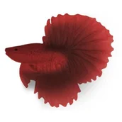 Dekoracje do akwarium - Ozdoba akwariowa bojownik czerwony happet - miniaturka - grafika 1