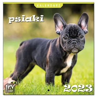 Kalendarz 2023 13 Plansz 16x16cm Psiaki - EV-Corp - Kalendarze - miniaturka - grafika 1