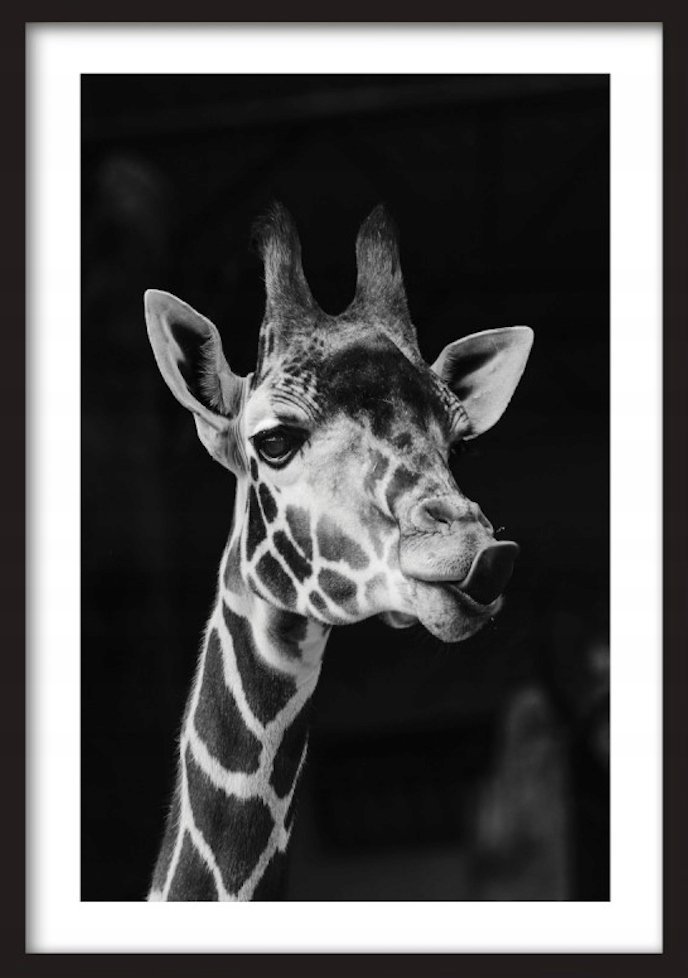 PODKŁADKA POD MYSZ Nadruk 22x18 cm Natura Żyrafa Zwierzęta Tekst Prezent