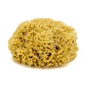 Inne akcesoria do pielęgnacji dzieci - Gąbka do kąpieli - naturalna morska - rozmiar XL. 16-18 cm - miniaturka - grafika 1