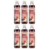 Soki i napoje niegazowane - Polska Róża Shot na odporność polskie owoce zestaw 6 x 250 ml - miniaturka - grafika 1