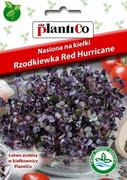 Nasiona na kiełki - PlantiCo Nasiona na kiełki Rzodkiewka czerwona (Red Hurricane) 100454 - miniaturka - grafika 1