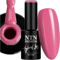 Lakiery hybrydowe - Lakier Hybrydowy Ntn 5g Led/uv Gel Polish Limited Edition Pink Nr446 - miniaturka - grafika 1