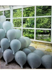 Tony Cragg Rzeźba sculpture - Książki o kulturze i sztuce - miniaturka - grafika 1