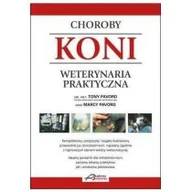 Rozwój osobisty - Choroby koni - miniaturka - grafika 1