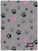 Teczki i skoroszyty - teczka z gumką a4 paws st. right - miniaturka - grafika 1