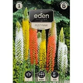 Nasiona i cebule - Pustynnik Igła Kleopatry 1 sztuka Eden - miniaturka - grafika 1