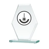 Gadżety dla kibiców - Trofeum szklane grawerowane - miniaturka - grafika 1
