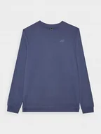 Bluzy męskie - BLUZA MĘSKA TSWSM1767 4F XXL - miniaturka - grafika 1