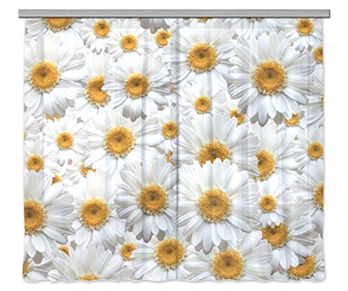 AG Design FCSXXL 7412 Tenda zasłona do pokoju dziecięcego, z tkaniny, wielokolorowa, 0,1 x 280 x 245 cm
