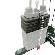 Pozostały sprzęt i akcesoria do ćwiczeń - Body-Solid Dodatkowe obciążniki do SP50 22,5 kg 23221 - miniaturka - grafika 1