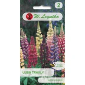 Nasiona i cebule - Legutko Łubin Russel mieszanka 2g - miniaturka - grafika 1