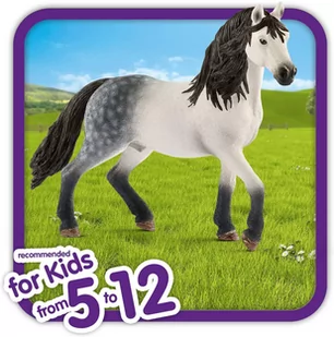 Schleich Figurka SLH 13821 Andaluzyjski Ogier SLH 13821 - Figurki dla dzieci - miniaturka - grafika 3