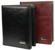 Portfele - Elegancki Portfel Męski Skórzany ALBATROSS Skóra Licowa Średni Pionowy Dwa Skrzydełka A-3748 10,5 x 8,5 x 2 [cm] - miniaturka - grafika 1