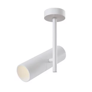 Maytoni Plafon C020CL-01W z serii ELTI Maytoni - Lampy sufitowe - miniaturka - grafika 1
