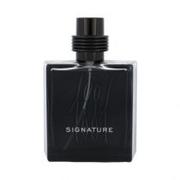 Wody i perfumy męskie - Nino Cerruti 1881 Signature woda toaletowa 100ml - miniaturka - grafika 1