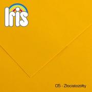 Scrapbooking - Hamelin, Karton ozdobny, Iris, A3, złocistożółty - miniaturka - grafika 1