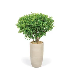 Doniczka walcowa, 34 x 34 x 56 cmfiberclay,beżowa - Donice - miniaturka - grafika 2