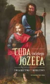 Religia i religioznawstwo - Cuda Świętego Józefa - miniaturka - grafika 1