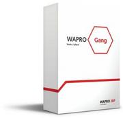 Programy finansowe i kadrowe - WAPRO Gang 365 PRESTIŻ 200 - miniaturka - grafika 1