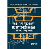Wieloprzęsłowe mosty skrzynkowe z betonu sprężonego - Rolnictwo i przemysł - miniaturka - grafika 1