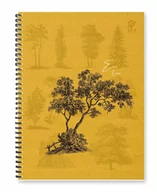 Zeszyty szkolne - Kołozeszyt A4/80 kratka, spirala, GRUBA Podkładka! - miniaturka - grafika 1