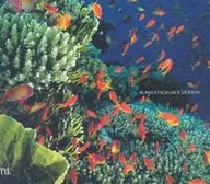 Przewodniki - Najpiękniejsze Miejsca do Nurkowania Na Świecie - miniaturka - grafika 1