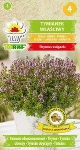 Toraf Tymianek właściwy nasiona ziół 0,5g 00050 - Nasiona i cebule - miniaturka - grafika 1