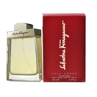 Salvatore Ferragamo, Pour Homme, woda toaletowa, 100 ml - Wody i perfumy męskie - miniaturka - grafika 1