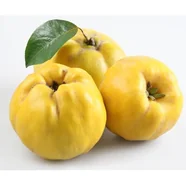 Balot Eko Owocowy Raj (pigwowiec)