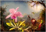 Puzzle - Bluebird Puzzle Puzzle 1000 Orchidea Cattleya i trzy kolibry - Bluebird Puzzle - miniaturka - grafika 1