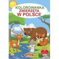 Kolorowanki, wyklejanki - Kolorowanka Zwierzęta w Polsce Nowa - miniaturka - grafika 1