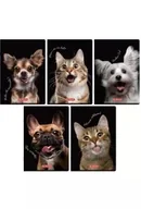 Zeszyty szkolne - Zeszyt A5/60K linia z marginesem Animals (10szt) - miniaturka - grafika 1