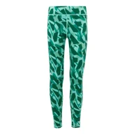 Spodnie i spodenki dla dziewczynek - Regatta Dziecięce Legginsy Barlia Winter Zielony, Rozmiar: 158 cm - miniaturka - grafika 1