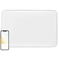 Lampy pozostałe - YEELIGHT Lampa sufitowa YEELIGHT Ceiling Light C2001R900 YLXD039 Wi-Fi/Bluetooth - miniaturka - grafika 1