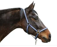 Kantary dla koni - Kantar "Hippo" niebieski, roz. 00 - miniaturka - grafika 1