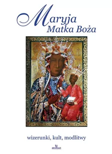 Maryja Matka Boża. Wizerunki, kult, modlitwy - Religia i religioznawstwo - miniaturka - grafika 1