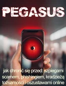 E-booki - literatura faktu - Pegasus. Jak chronić się przed szpiegami, scamem, phishingiem, kradzieżą tożsamości i oszustwami online - miniaturka - grafika 1