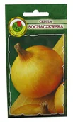 Nasiona i cebule - Odmiana późna, bardzo plenna o dużej zawartości suchej masy i witaminy C. Cebule kuliste, o masie 120-140 g. - miniaturka - grafika 1