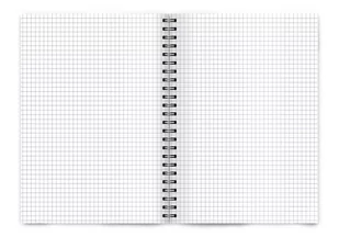 Kołozeszyt A6 80k kratka COLORS 400169231 TOP 2000 - Zeszyty szkolne Kołozeszyt A6 80k kratka COLORS 400169231 TOP 2000 - Zeszyty szkolne - miniaturka - grafika 2