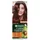 GARNIER Color Naturals Farba Do Włosów 5.34 Złocisty Brąz