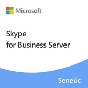 Programy biurowe - Skype for Business Server Plus 2019 Device CAL - miniaturka - grafika 1