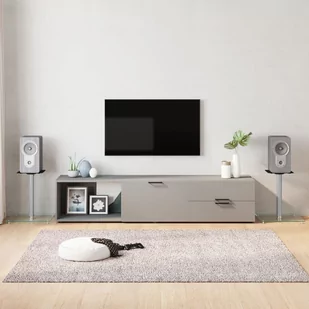 Stojaki pod głośniki, 2 szt, srebrne, szkło hartowane, 1 słupek Lumarko! - Głośniki - stojaki i akcesoria - miniaturka - grafika 9